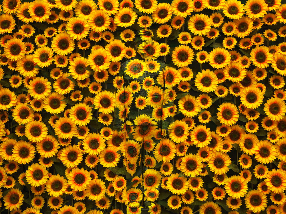 Sunflower, série Hiding in the City, 2010 © Liu Bolin. Courtsey galerie Paris-Beijing