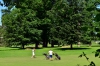 Golf--Laurence-Plancke.jpg