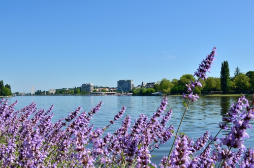 Séjour à Vichy : Découvrir et sortir