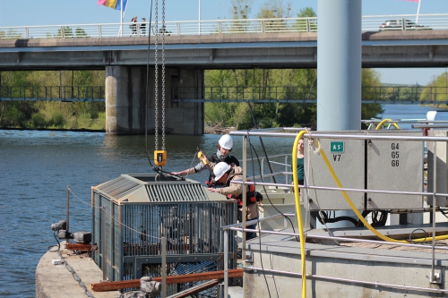 Observatoire des poissons migrateurs